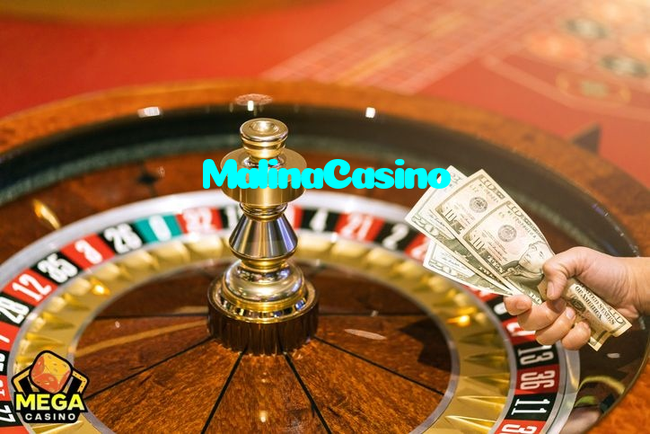 available types of MalinaCasino bet including pre-match live express and system bets